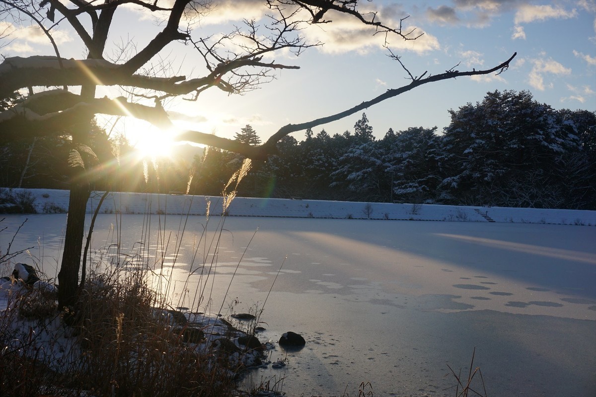 f:id:hashiba511:20201219035215j:plain