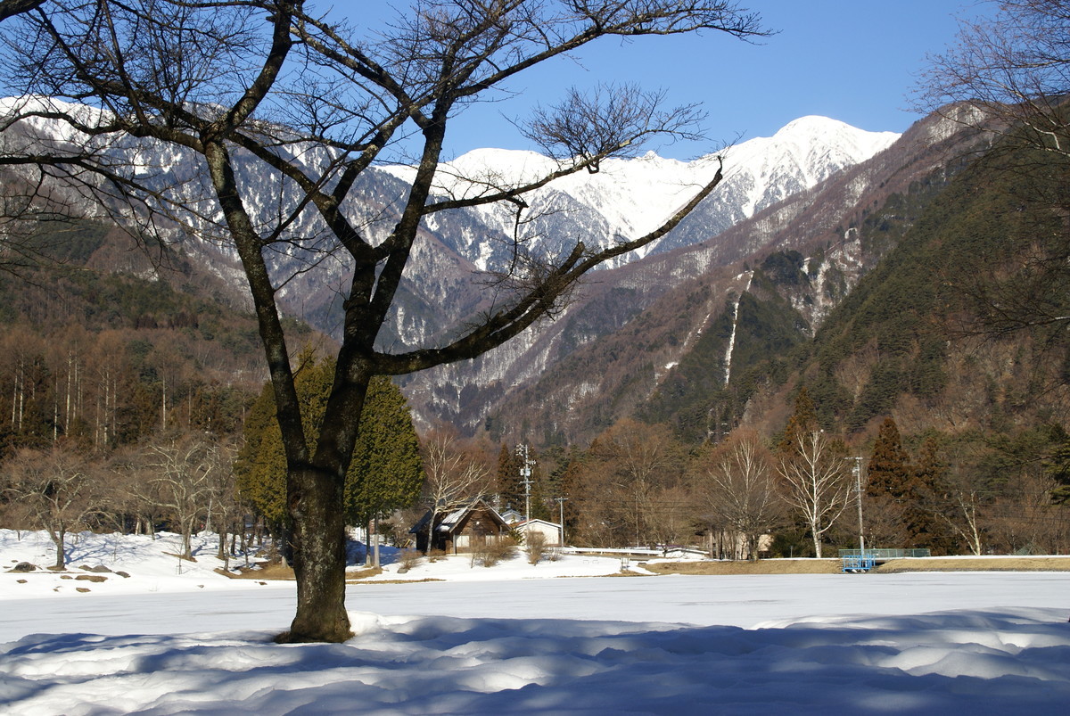 f:id:hashiba511:20201219035606j:plain
