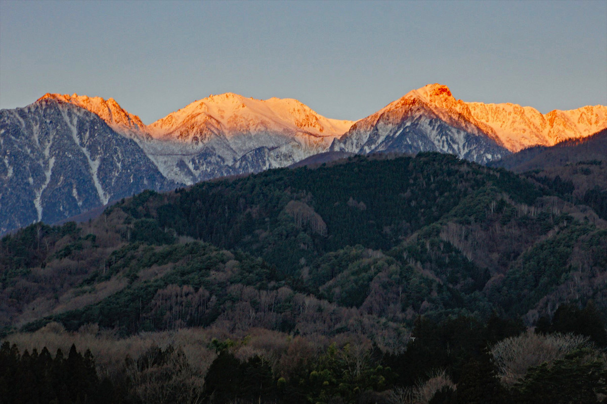 f:id:hashiba511:20210213080650j:plain