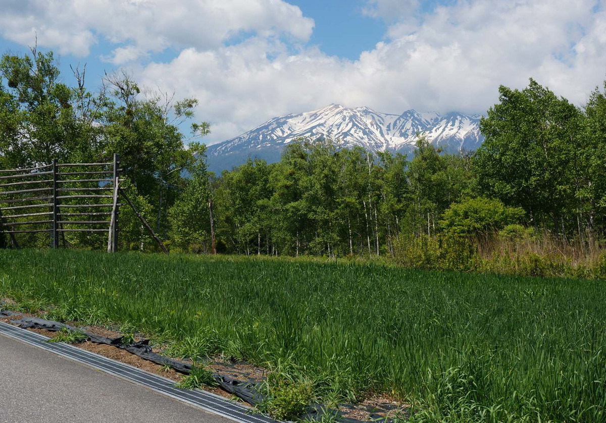 f:id:hashiba511:20210531065941j:plain