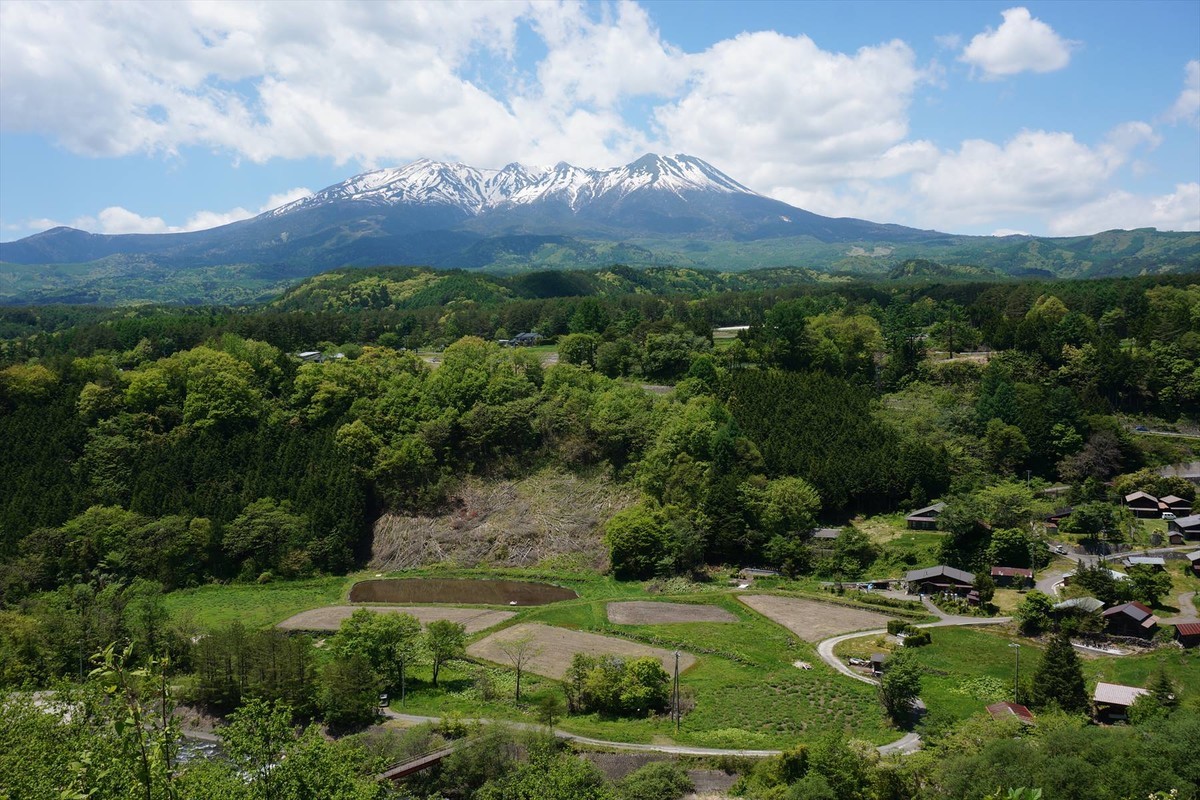 f:id:hashiba511:20210531070018j:plain