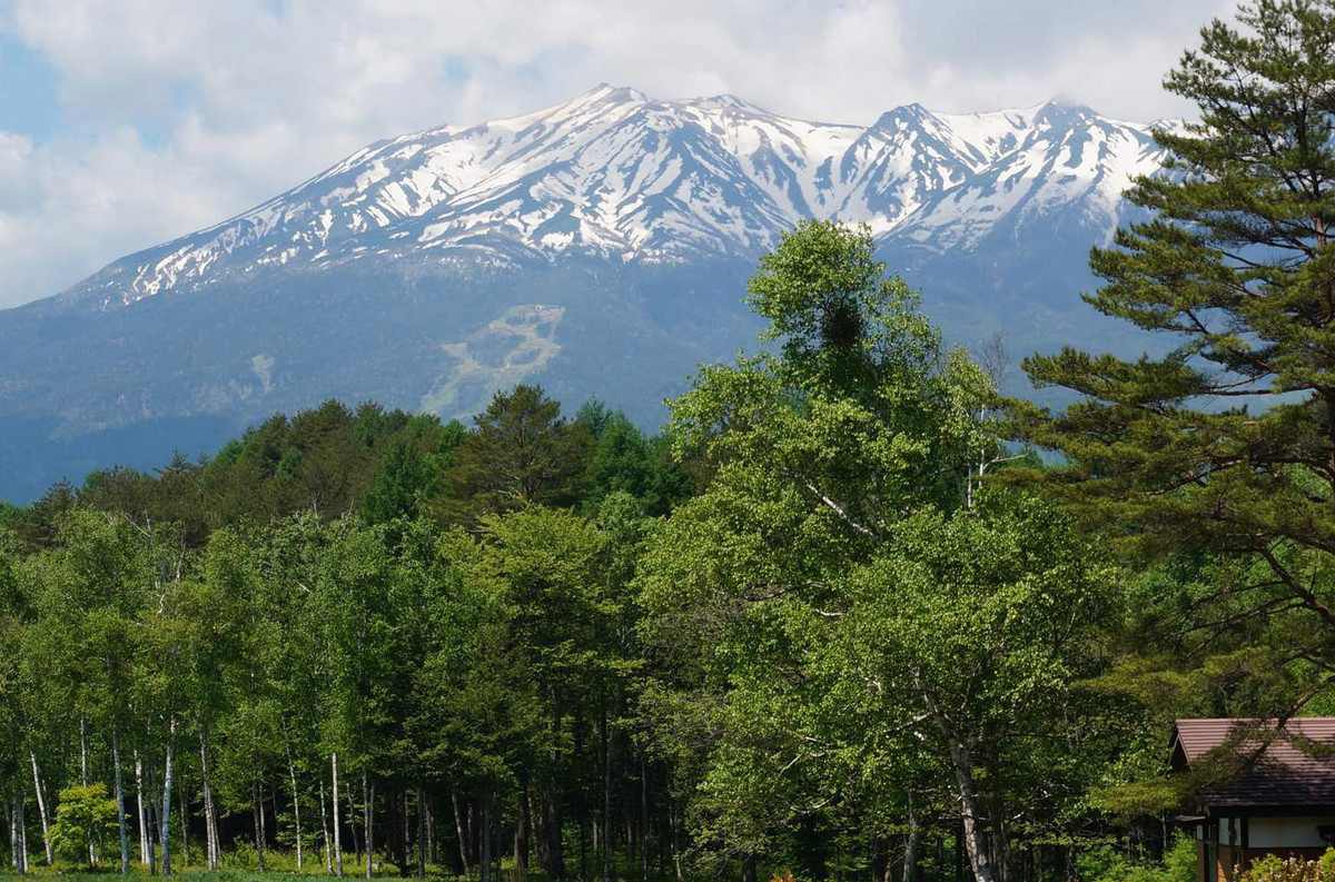 f:id:hashiba511:20210531070340j:plain