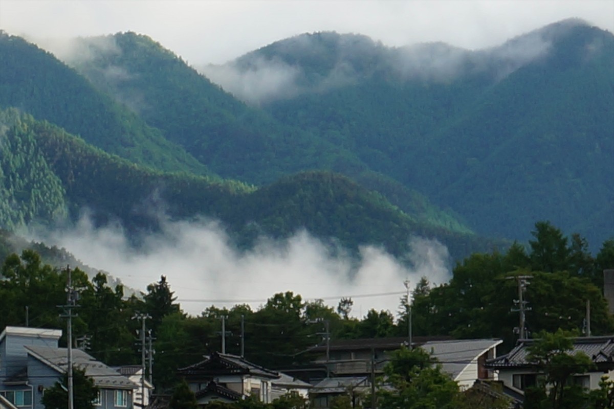f:id:hashiba511:20210605075755j:plain