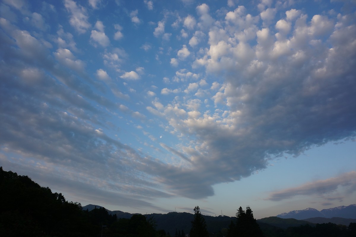 f:id:hashiba511:20210605075832j:plain