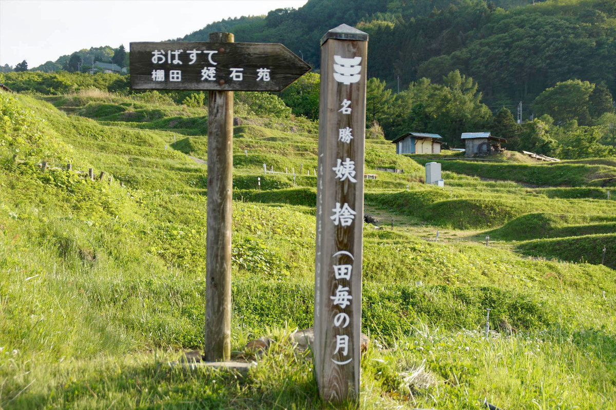 f:id:hashiba511:20210607053908j:plain