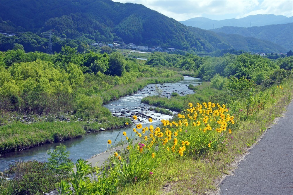 f:id:hashiba511:20210612044310j:plain
