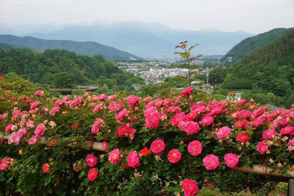 f:id:hashiba511:20210621021304j:plain
