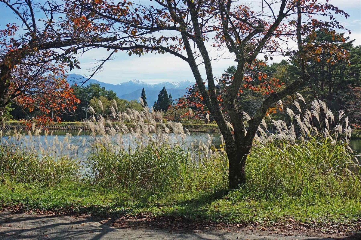 f:id:hashiba511:20211023051820j:plain