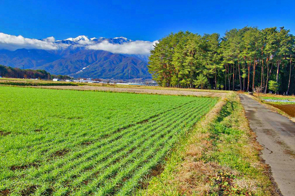 f:id:hashiba511:20211211030150j:plain
