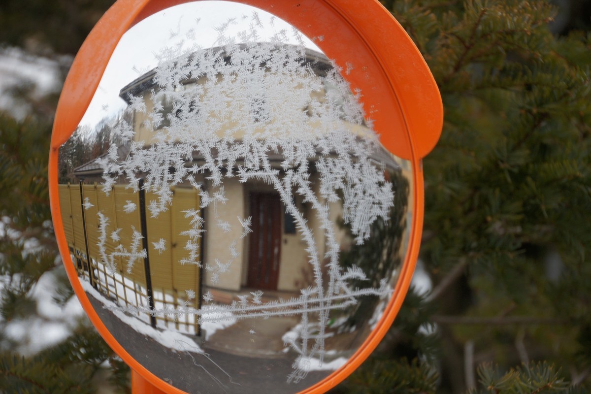 f:id:hashiba511:20211230052510j:plain