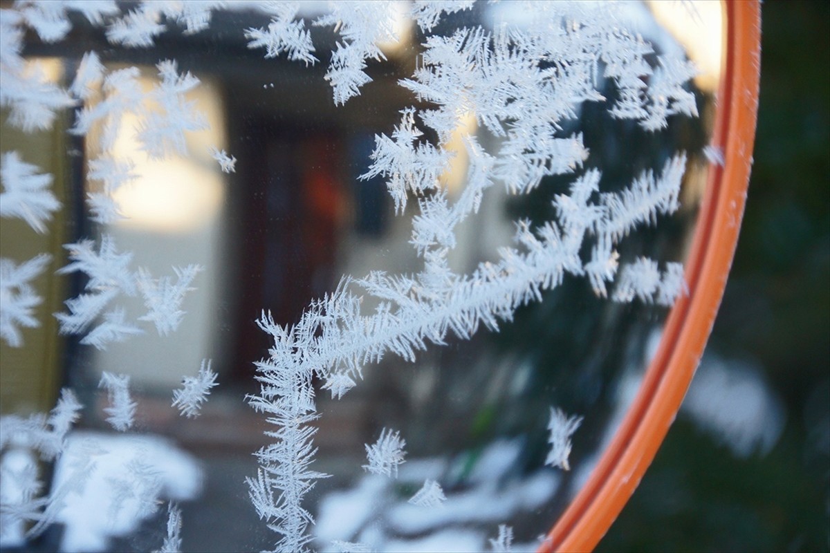 f:id:hashiba511:20211230052557j:plain