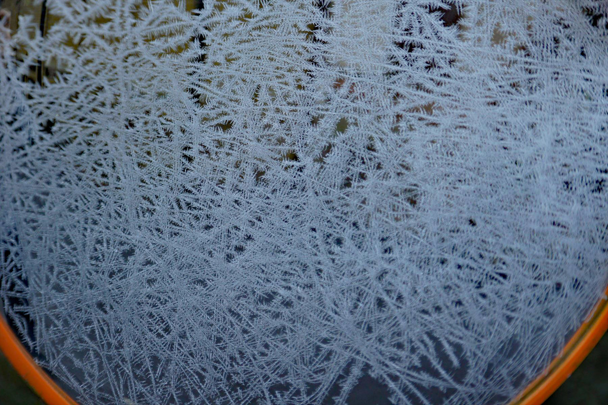 f:id:hashiba511:20211230052903j:plain