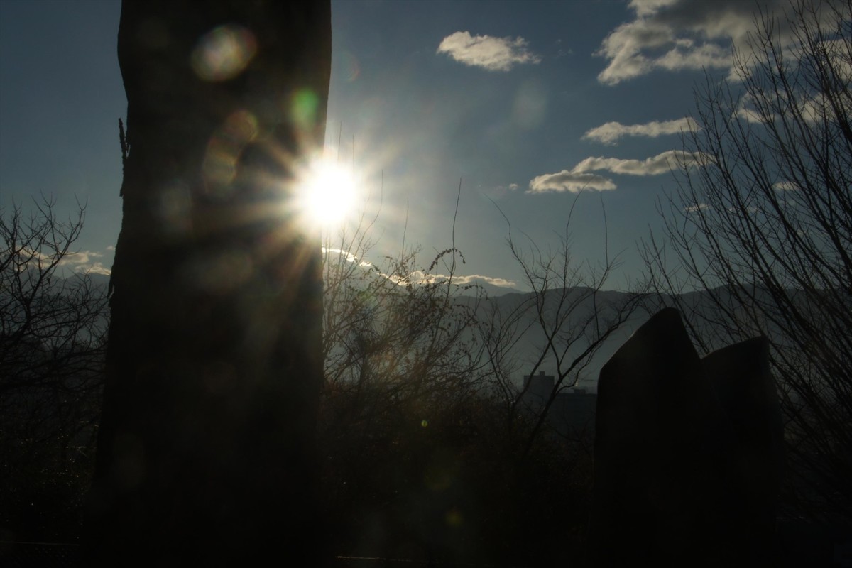 f:id:hashiba511:20220101182256j:plain