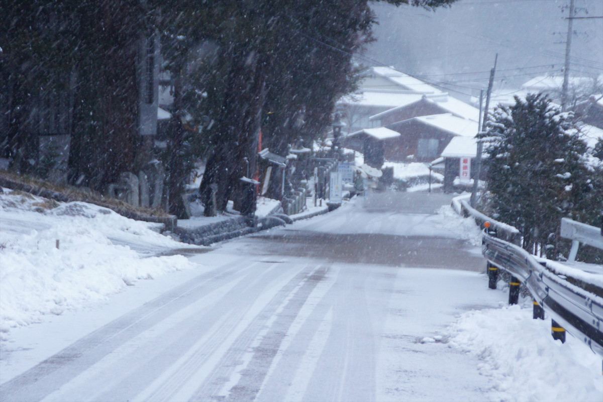 f:id:hashiba511:20220113041025j:plain