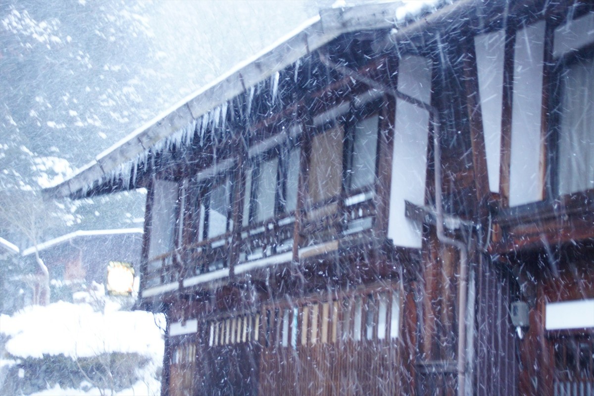 f:id:hashiba511:20220113041111j:plain