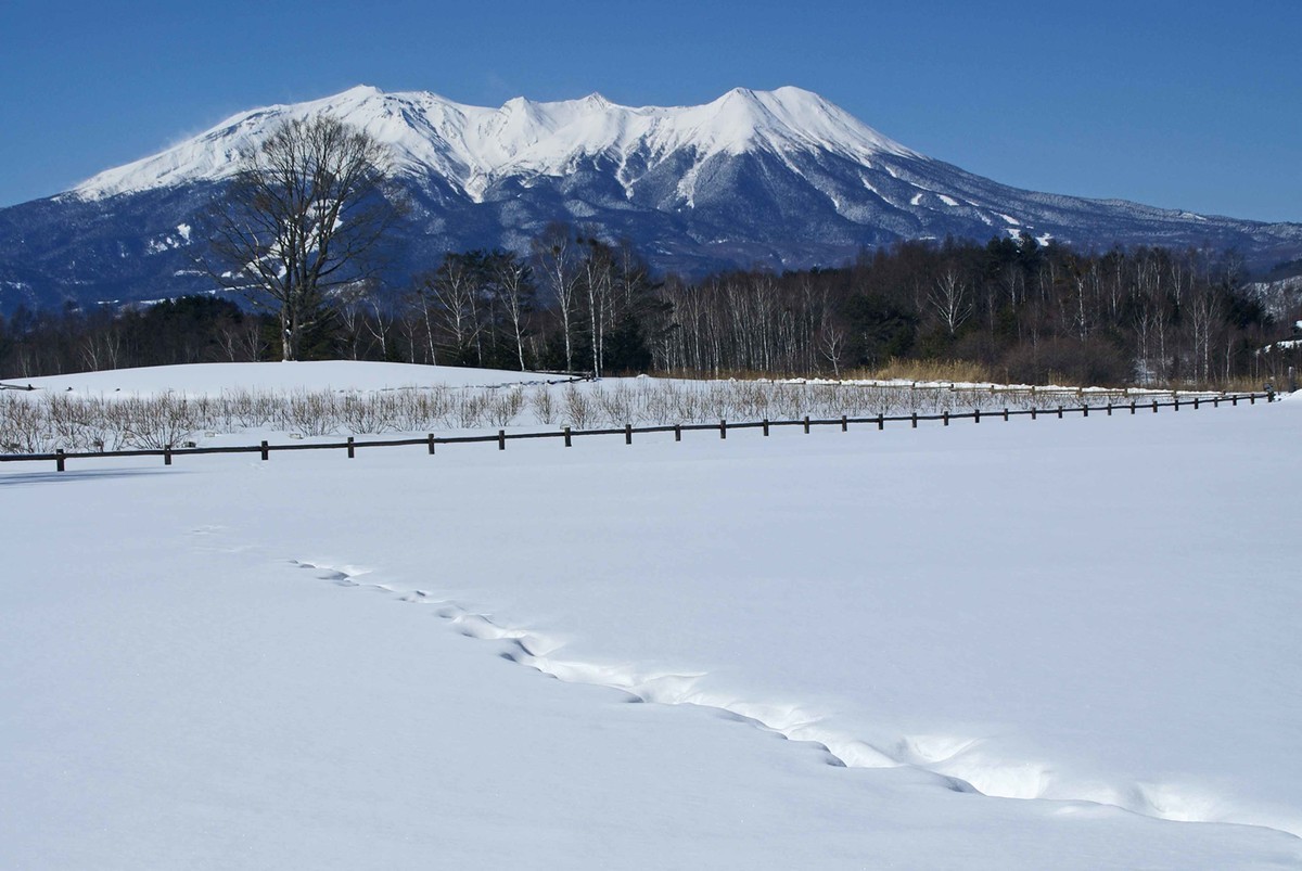 f:id:hashiba511:20220126180052j:plain