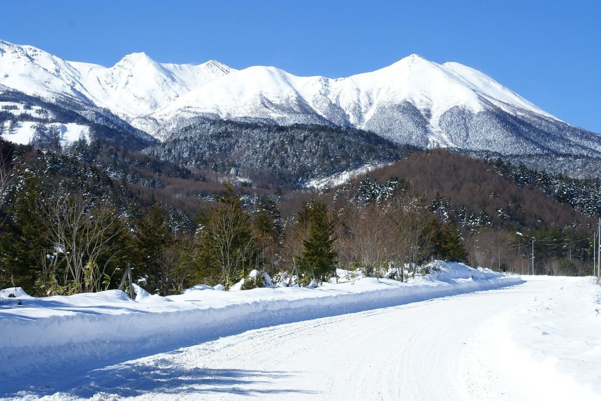 f:id:hashiba511:20220126180121j:plain