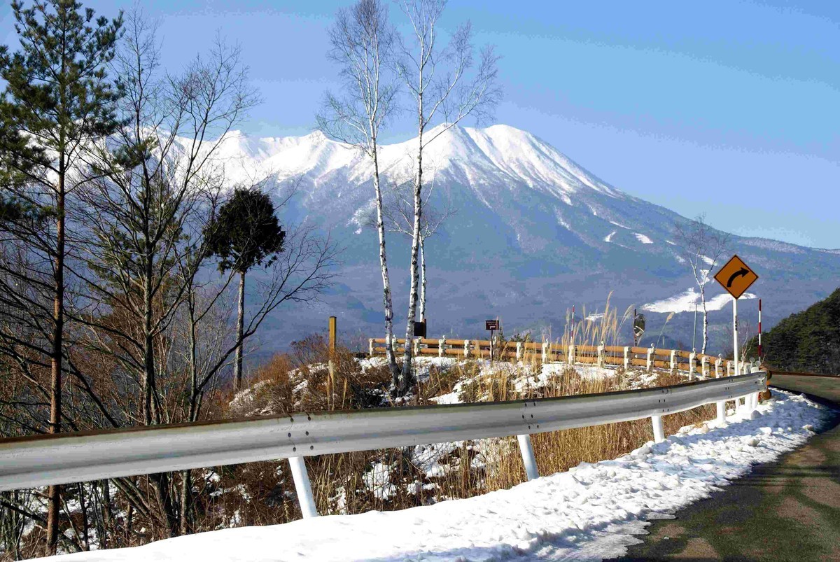 f:id:hashiba511:20220126180207j:plain
