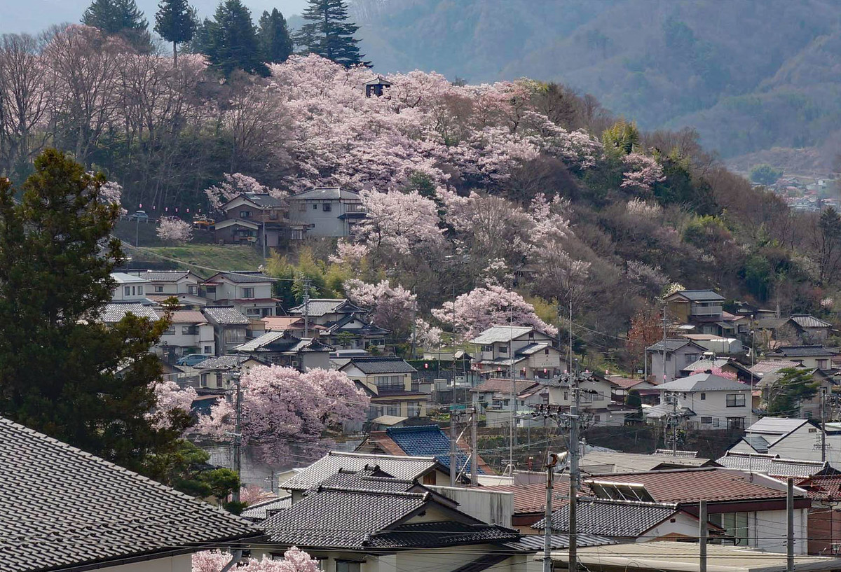 f:id:hashiba511:20220413044623j:plain