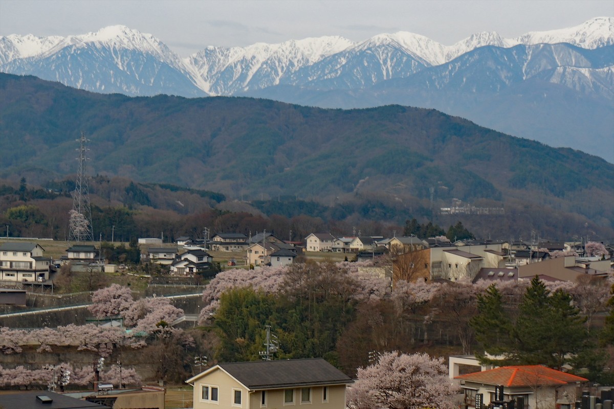 f:id:hashiba511:20220413050029j:plain