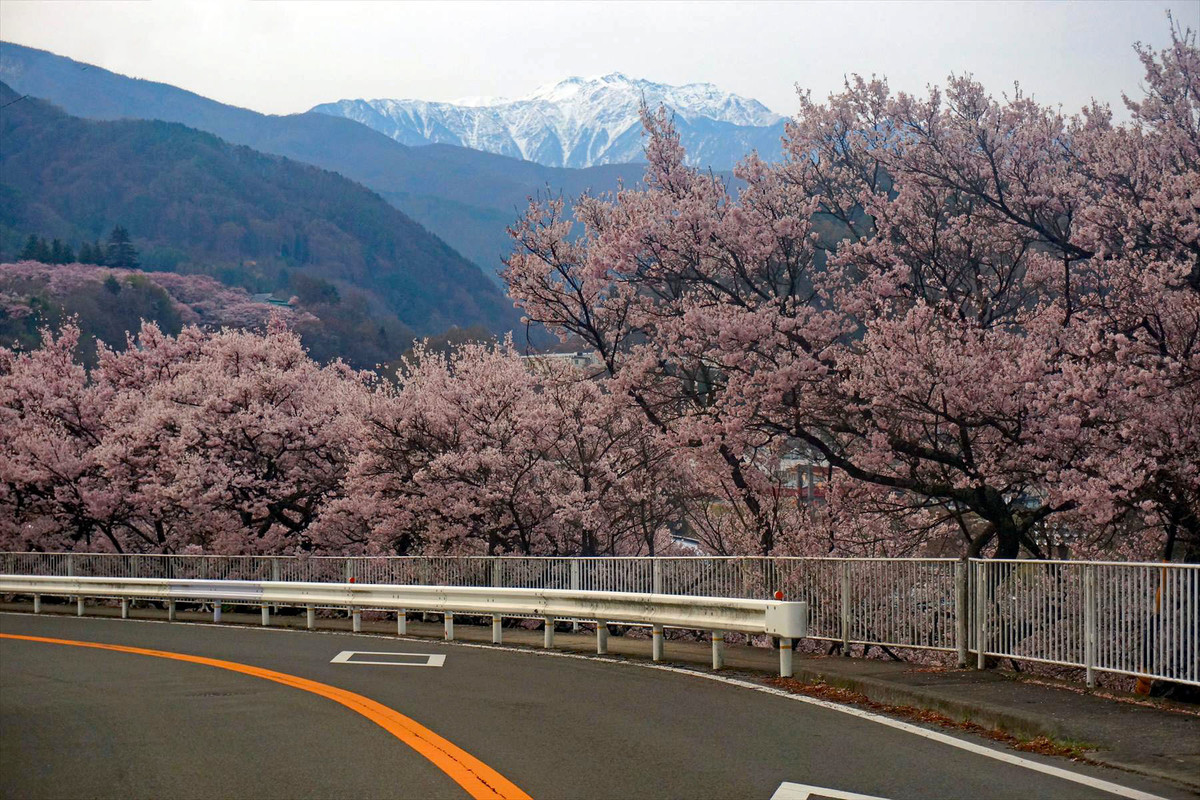 f:id:hashiba511:20220413051612j:plain