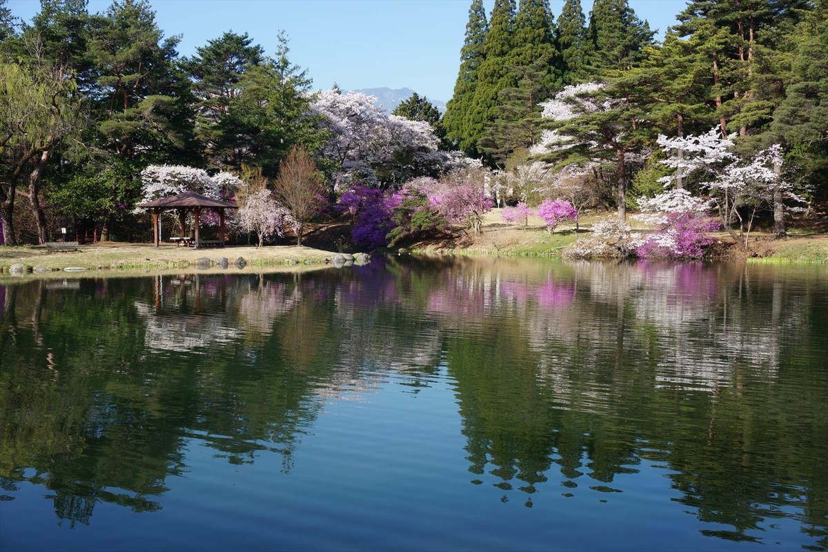 f:id:hashiba511:20220414022611j:plain