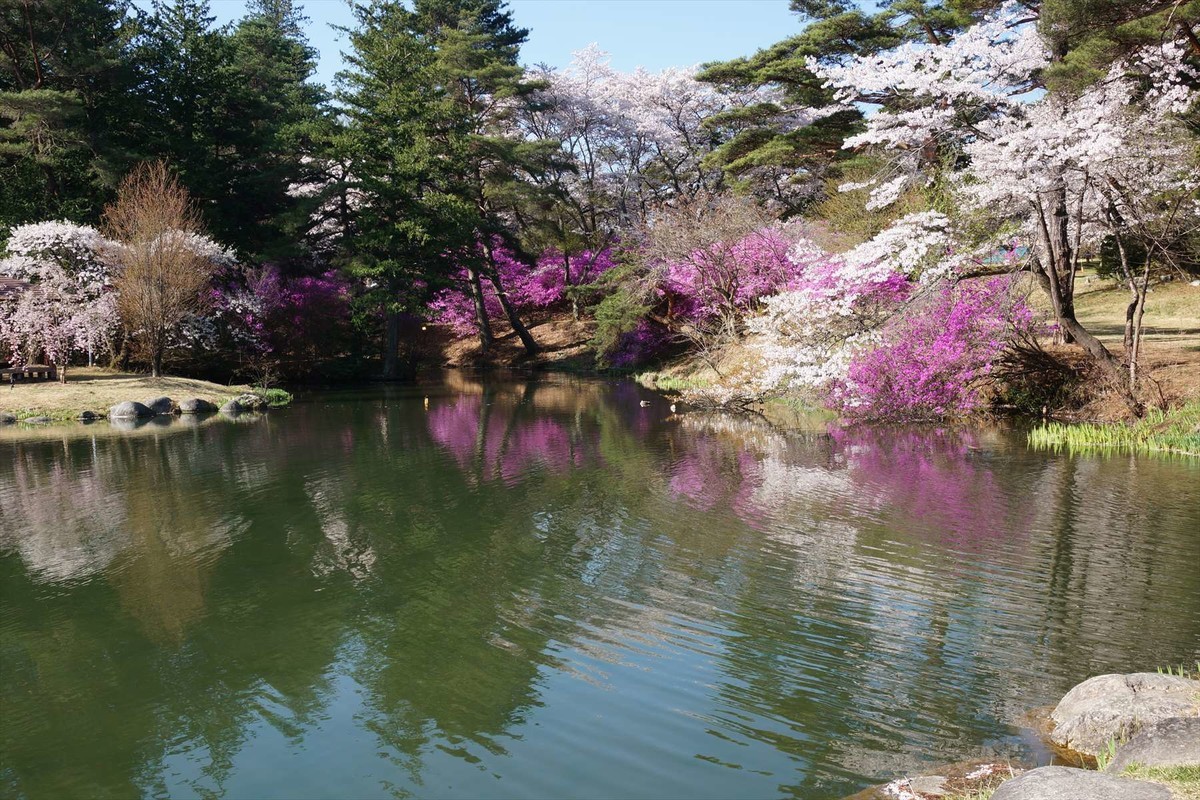 f:id:hashiba511:20220414022630j:plain