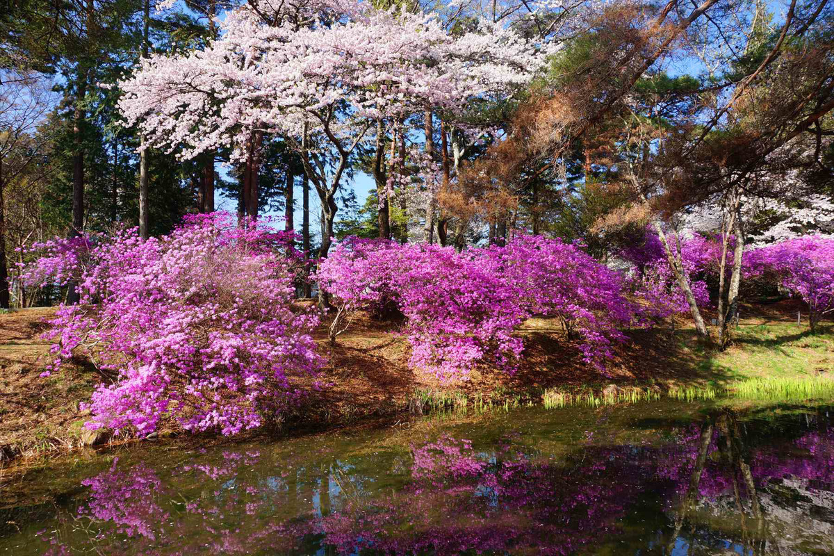 f:id:hashiba511:20220414022648j:plain
