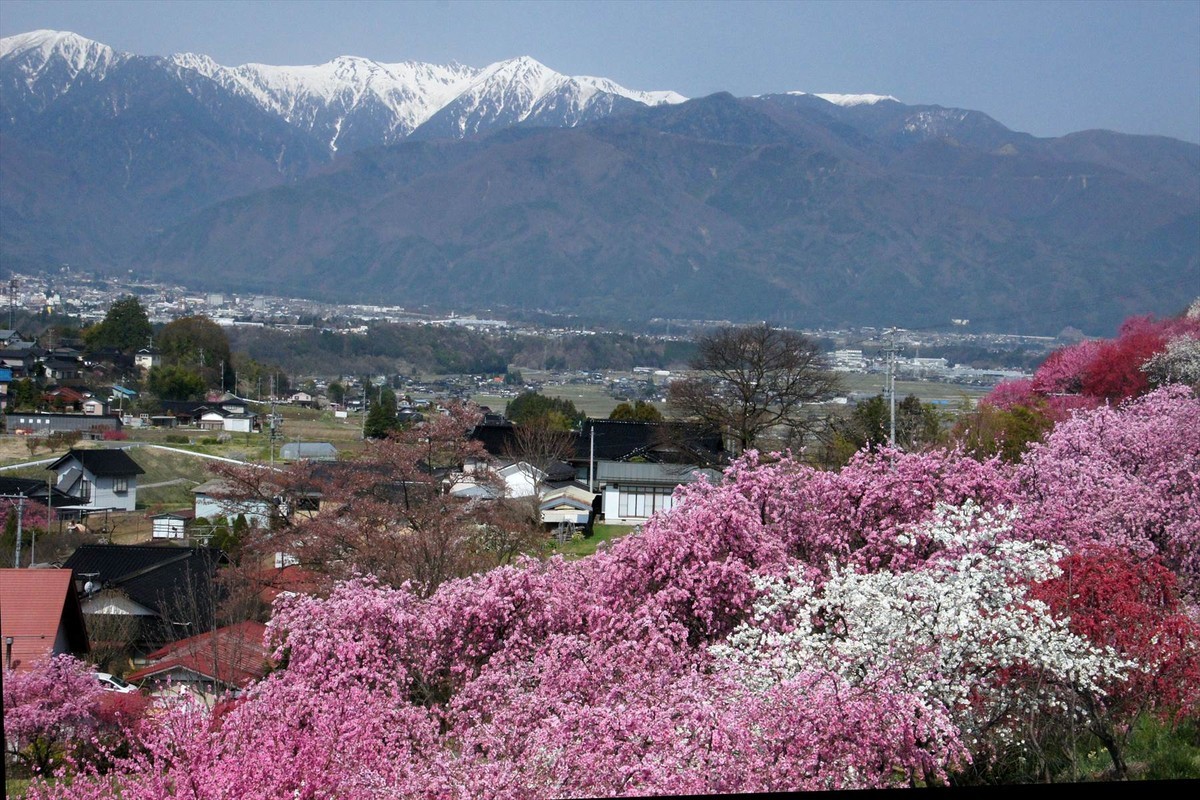 f:id:hashiba511:20220418043853j:plain