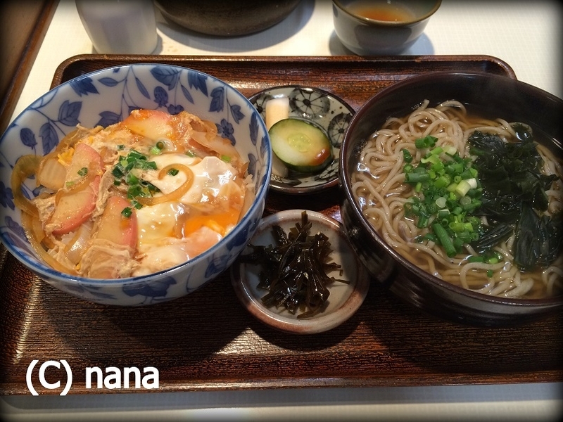 イメージ 14