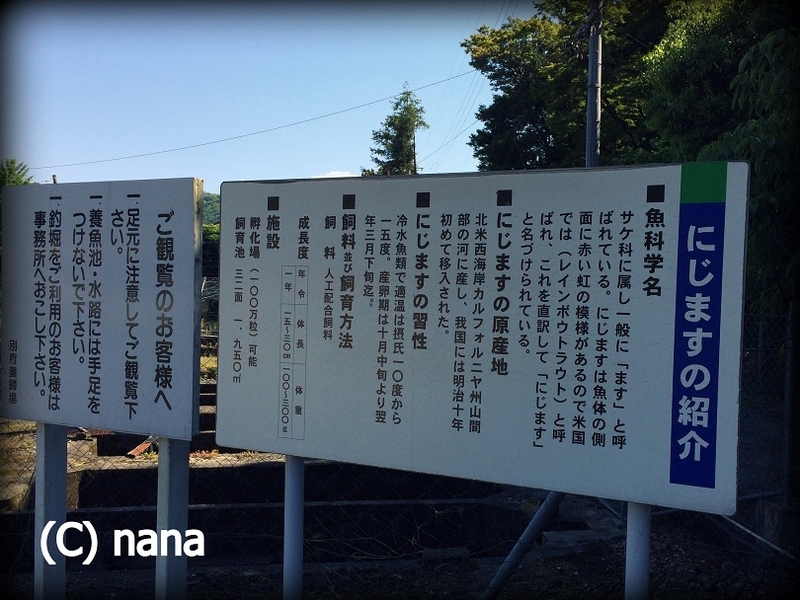 イメージ 8