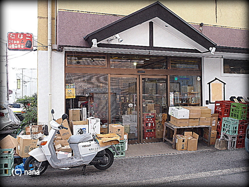イメージ 4
