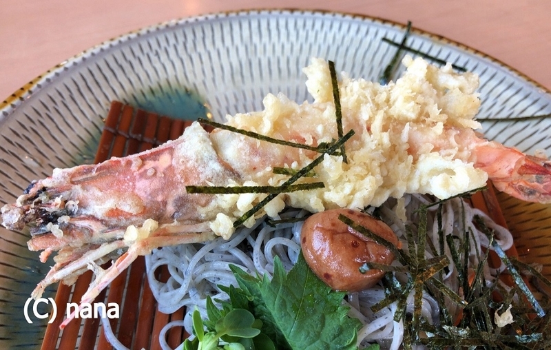 イメージ 9