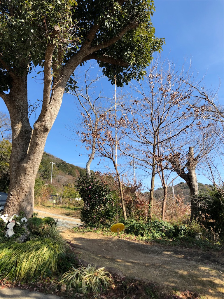 f:id:hashikkokurashi:20200121124309j:image