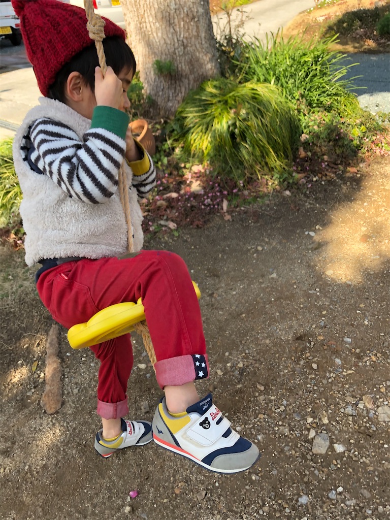 f:id:hashikkokurashi:20200121124352j:image