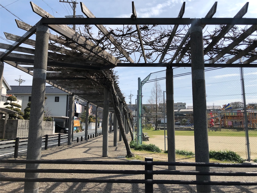 f:id:hashikkokurashi:20200316150103j:image