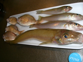 f:id:hashimajc:20100926101111j:image