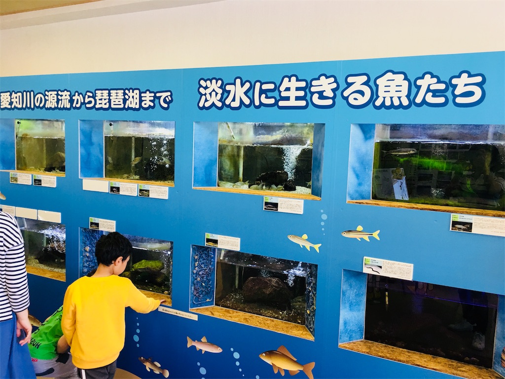 f:id:hashimo123:20180516083427j:image