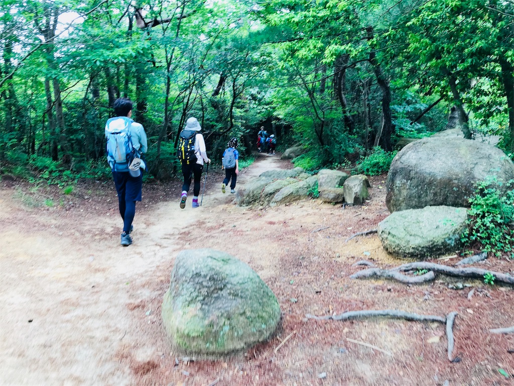 f:id:hashimo123:20180520175842j:image f:id:hashimo123:20180520175842j:image