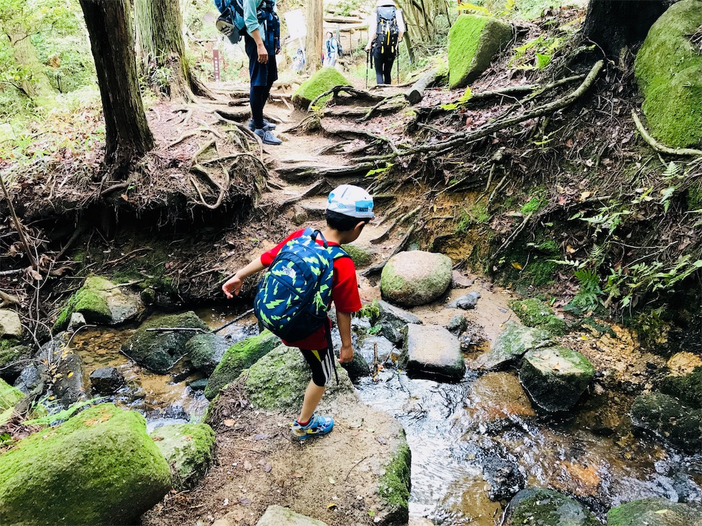 f:id:hashimo123:20180520175916j:image f:id:hashimo123:20180520175916j:image