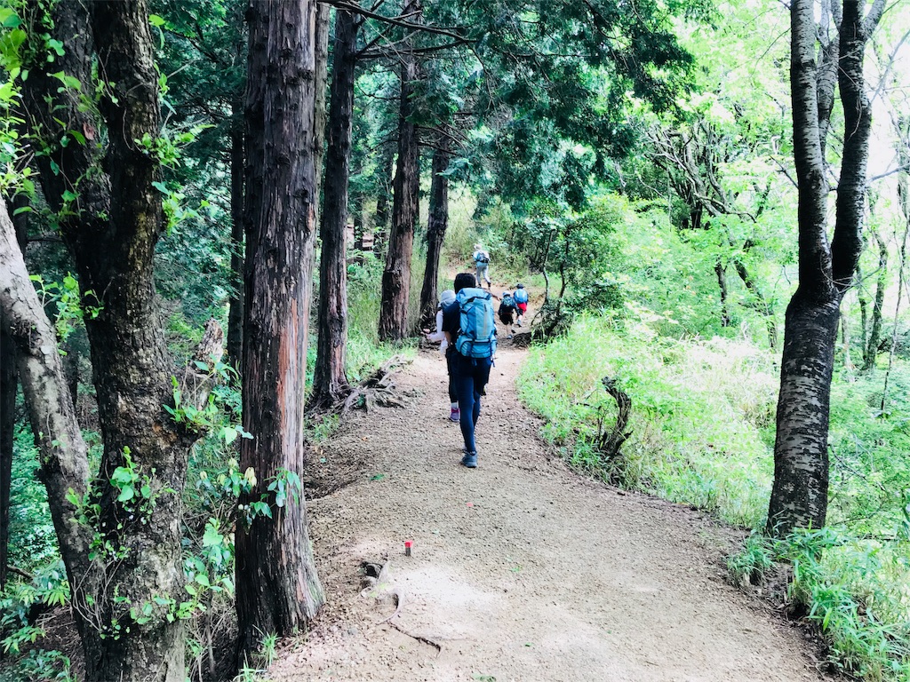 f:id:hashimo123:20180520180434j:image f:id:hashimo123:20180520180434j:image