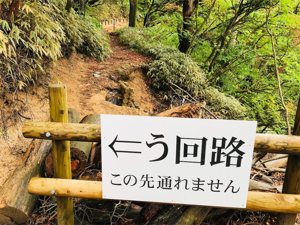 f:id:hashimo123:20180520212122j:image f:id:hashimo123:20180520212122j:image