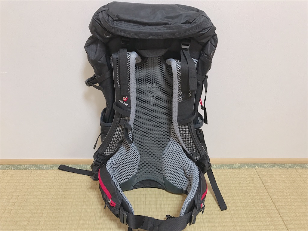 f:id:hashimo123:20180614082355j:image