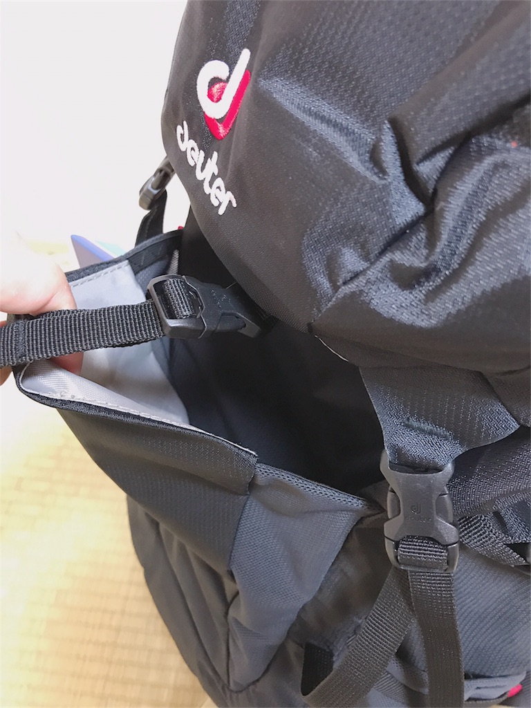 f:id:hashimo123:20180614082406j:image