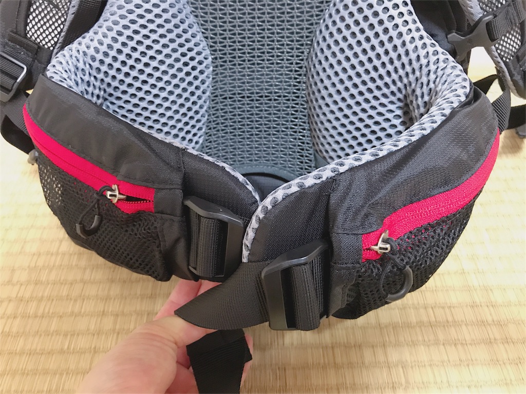 f:id:hashimo123:20180614082515j:image