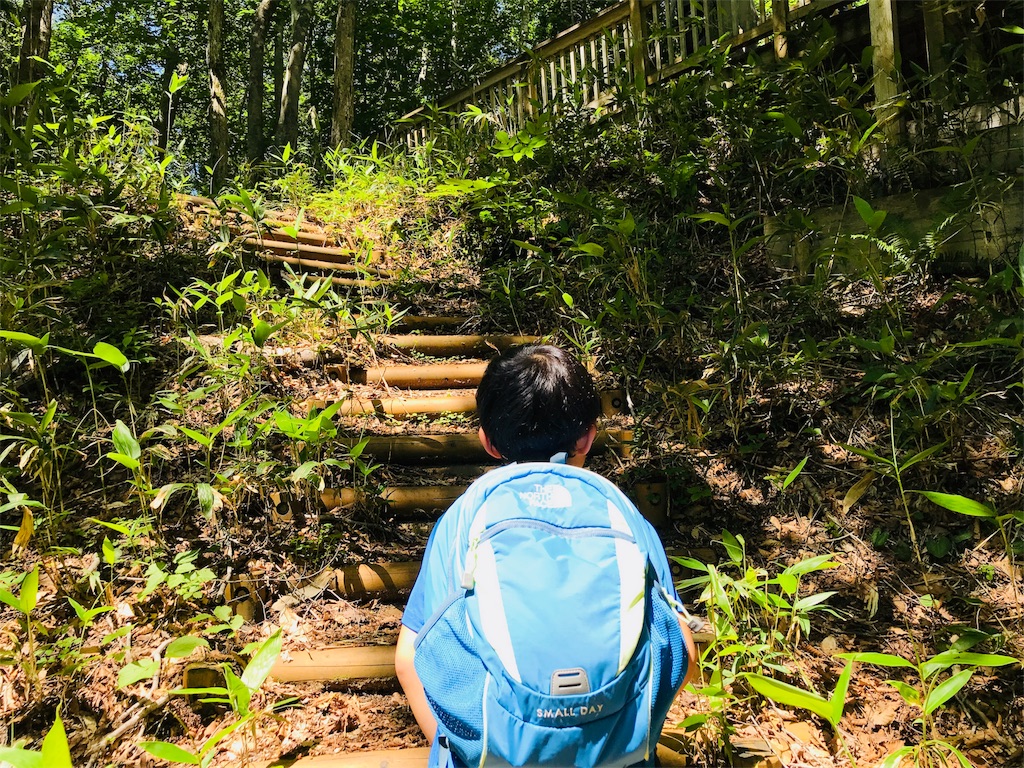 f:id:hashimo123:20180625172908j:image