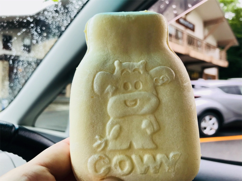 f:id:hashimo123:20180701103529j:image f:id:hashimo123:20180701103529j:image
