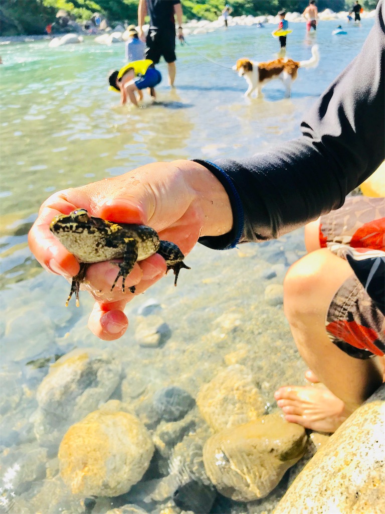 f:id:hashimo123:20180719231616j:image f:id:hashimo123:20180719231616j:image