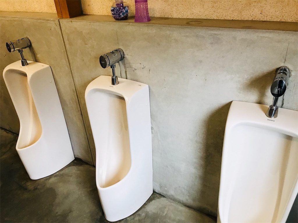 f:id:hashimo123:20190117170039j:image