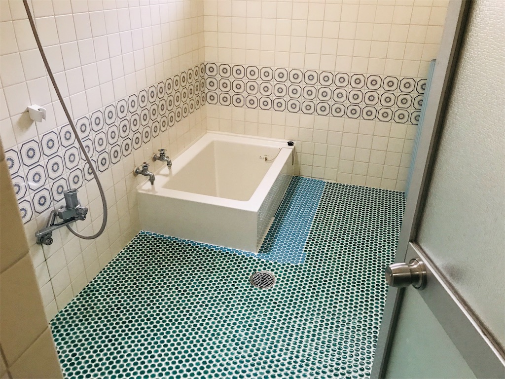 f:id:hashimo123:20190117170103j:image